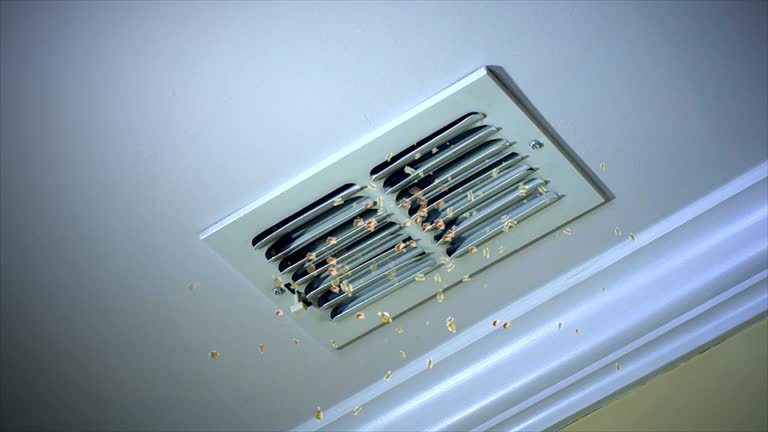 Best Local Air Duct Cleaning Services  in Buies Creek, NC